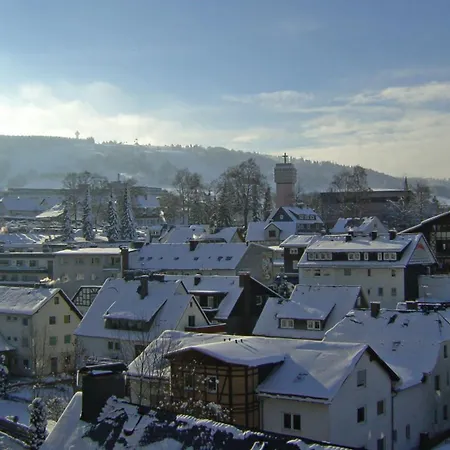 Fewo Am Iberg 20, Inkl Parkplatz * ヴィリンゲン